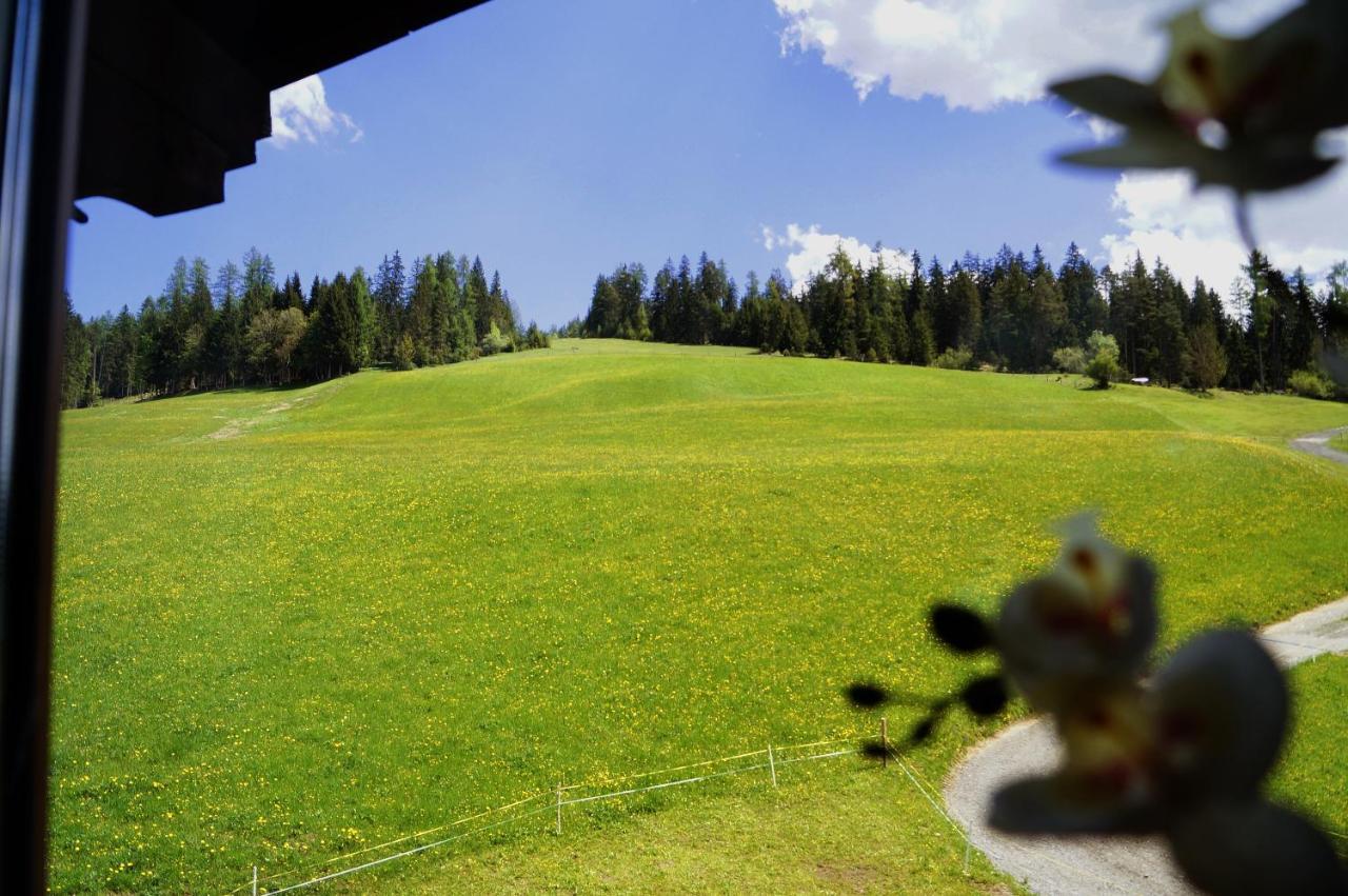 Sauschneidhof - Radstadt Eksteriør billede
